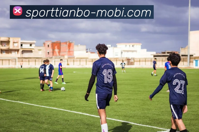 天博体育平台生态图