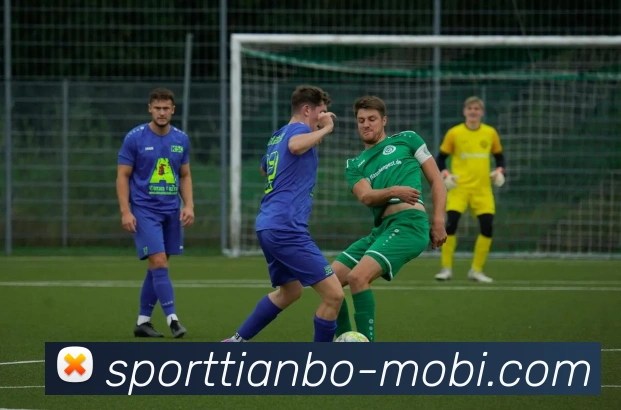 天博体育APP 封面图